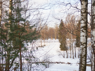 Winter glade in the park in the sun.