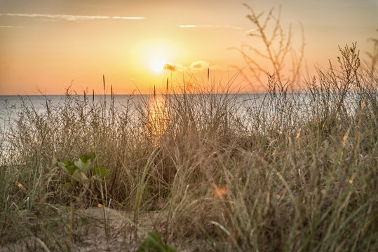 D&uuml;nenbepflanzung