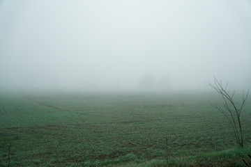 Naklejka premium Landscape of dense fog in the field and silhouette of trees in warm winter