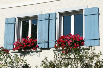 Two Windows with flowers, zwei Fenster mit Geranien