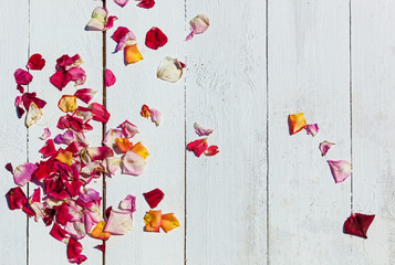 rose petals on a wooden background