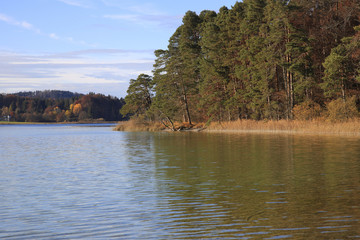 Ostersee m Ufer und Wald im Herbst, Iffeldorf, Bayern, Deutschland, Europa