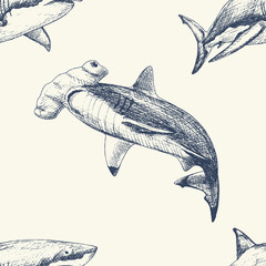 Vector seamless pattern with sharcks. Hand drawn. Vintage background. Sealife illustration - obrazy, fototapety, plakaty