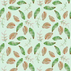 Watercolor floral pattern, delicate flowers. Seamless summer print for fabric, textile, wrapping, wallpaper, background. Vintage botanical set. Wedding, holiday, birthday. Bright botanical colllection