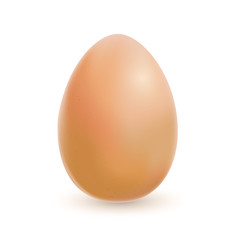 Braunes realistisches Ei