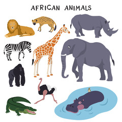 African animals (lion, hyena, rhinoceros, zebra, giraffe, elephant, gorilla, ostrich, crocodile, hippopotamus)