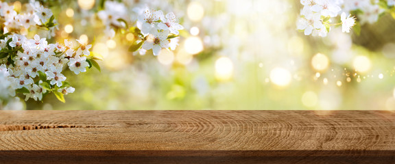 Spring flowers in a park with rustic wooden table