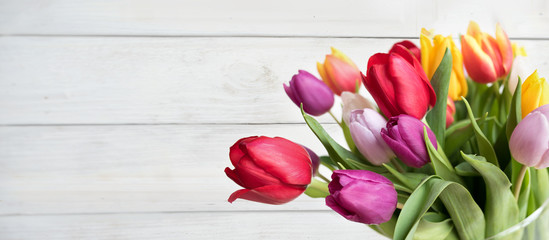 Colorful tulips on white background
