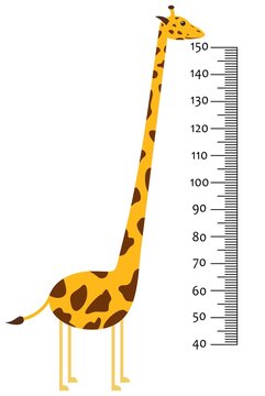 Meter wall or baby scale of growth with Giraffe. Kids height chart. scale from 40 to 150 centimeter. Vector illustration