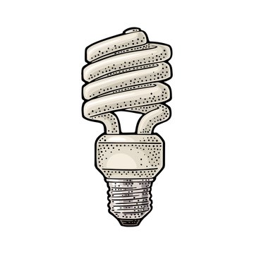 Energy saving spiral lamp. Vector vintage engraving on white background