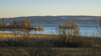 Radolfzell Mettnau Naturschutzgebiet im Frühjahr mit blauen Himmel 
