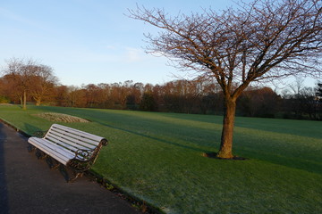 Banc vide du parc