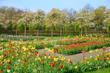 Fr&uuml;hling im Keukenhof in Lisse, Holland