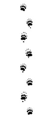 Badger tracks. Typical footprints with long claws - isolated black icon vector illustration on white background.