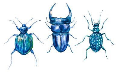 Watercolor set of green beetles. 