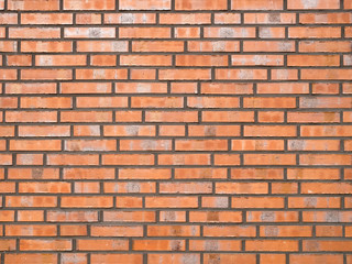 Obraz premium OLYMPUS DIGITAL CAMERA