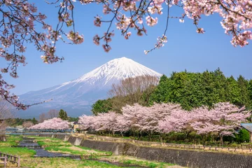 Fotobehang Mt. Fuji in Spring © SeanPavonePhoto
