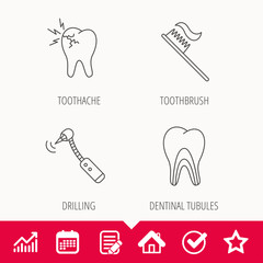 Toothache, drilling tool and toothbrush icons.