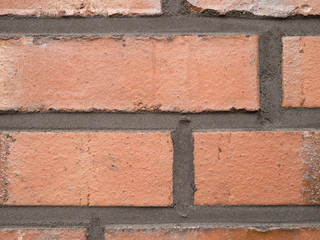 Obraz premium OLYMPUS DIGITAL CAMERA