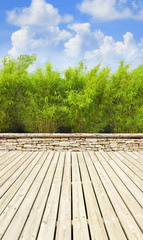 Schöne Gartenterrasse mit Bambusbüschen