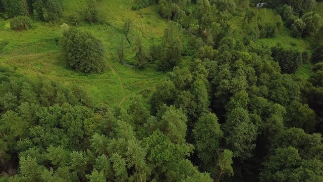 Flying over treetops of park with green medows, little stream and narrow paths