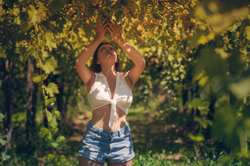 Beautiful girl in shorts and top in a vineyard on a warm sunny evening
