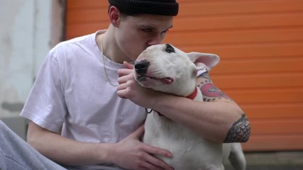 Resultado de imagen para Bull terrier dog, hugging