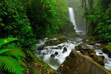 Fototapeta premium Ogrody wodospadu La Paz z zielonym lasem tropikalnym, Central Valley, Kostaryka. Podróżowanie po Kostaryce. Wakacje w tropikalnym lesie. Rzeka z białym strumieniem, deszczowy dzień, zielona roślinność, park narodowy.