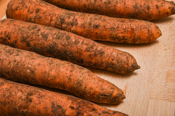Dirty organic carrots raw and pieces of earth on wooden table background. Fresh autumn harvest. Healthy vegan food concept.