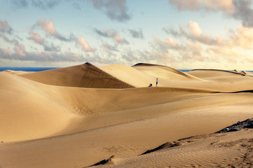 Fototapeta na wymiar National park of Maspalomas sand dunes. Gran Canaria, Canary islands, Spain