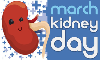 Cute Kidney with Crosses to Commemorate Kidney Day in March, Vector Illustration