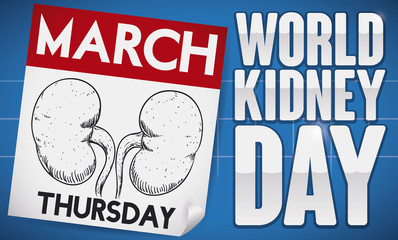 Loose-leaf Calendar with Greeting Sign for World Kidney Day, Vector Illustration