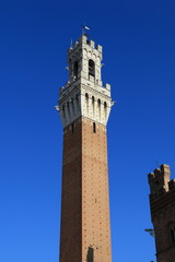 Torre del Mangia - Palazzo Comunale - Siena