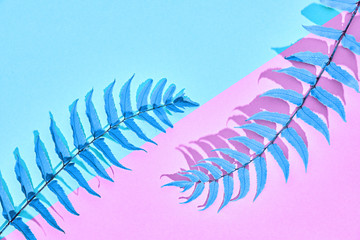 Creative Tropical Fresh Fern Leaf. Fashion Blue Summer Design. Bright Summer Color. Nature Beach leaf background. Surreal. Minimal Art. Detail
