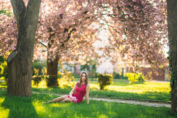Young girl posing for a photo. Flowering pink trees in the background. Spring. Sakura