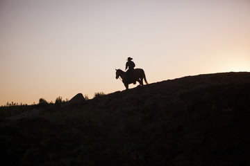Fototapeta na wymiar Cowboy on a horse in North Dakota, USA