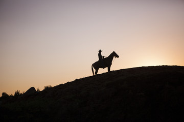 Fototapeta na wymiar Cowboy on a horse in North Dakota, USA