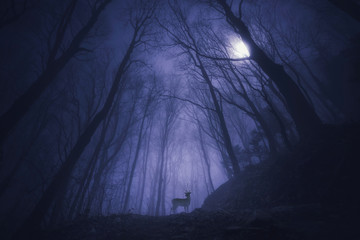 Deer animal in night forest trees nature moon fog
