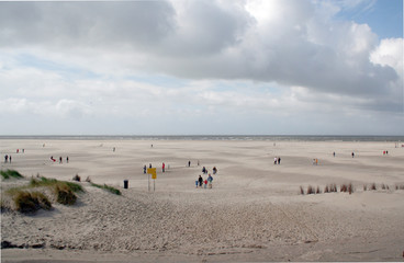 Fototapeta na wymiar Netherlands,North Holland,Wadden Sea,Texel,june 2016: