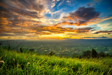 sunset on the field. Composition of nature