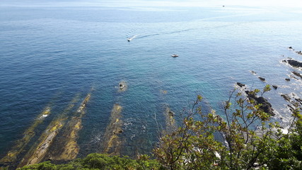 An amazing caption of the sea in Genova with a beautiful blue sky and some green plants in winter days 