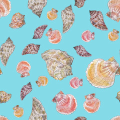 Watercolor  hand drawn seamless pattern with shells.