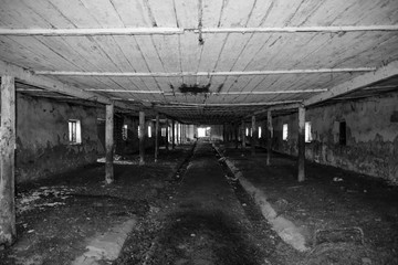 An old abandoned farm for cows. Style Abandoned