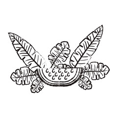 watermelon fresh fruit slice with leafs vector illustration design