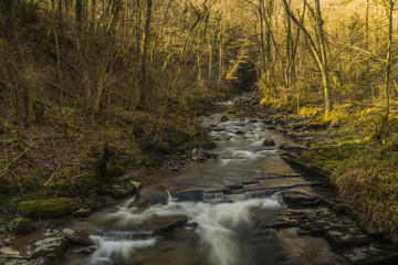 Upper Clydach River Pontardawe, Wales, UK