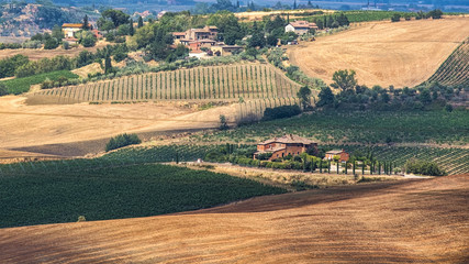 Summer landscape near Montepulciano