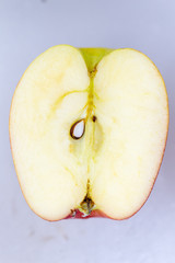 Study of Structure of Fruit in Lab.