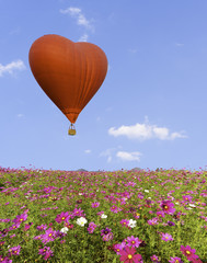 Heart hot air balloon over cosmos flowers with blue sky