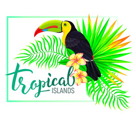 Tropical island composition with toucan leaves flowers