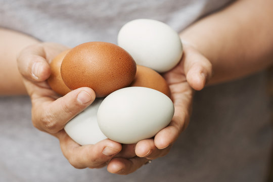 A woman holding hands full of fresh brown and white eggs.